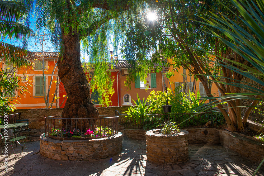 Obraz premium Hyères, parc et arbres en centre ville, Var