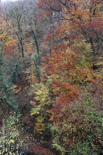 View down into a valley on a wet Autumn day, Derbyshire England 