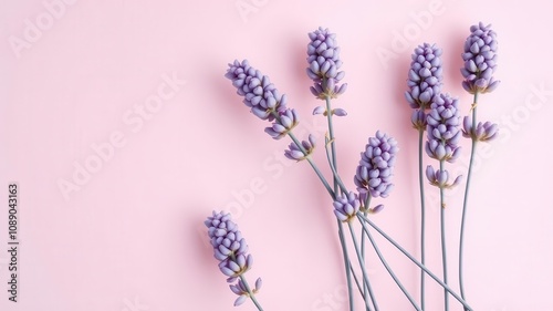 Soft pastel colors like pink, lavender, and mint are featured in a high-contrast wallpaper design, creating a visually striking and modern aesthetic, pastel, aesthetic, lavender photo