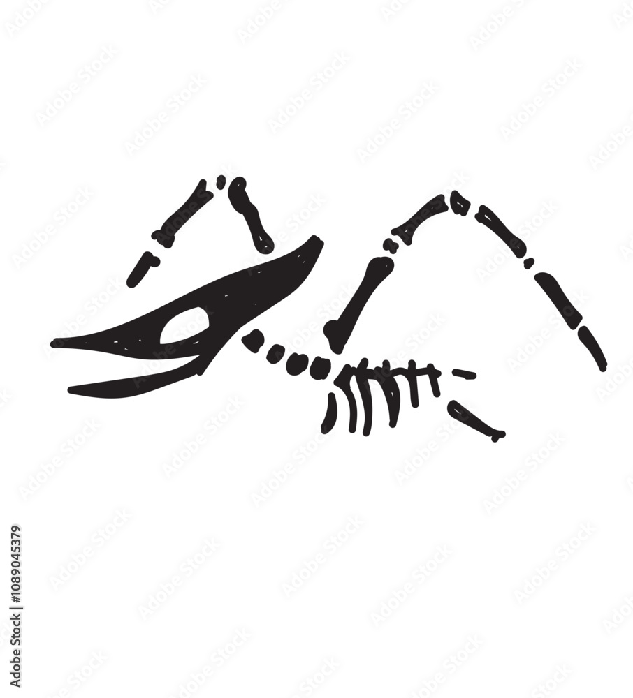 Dinosaur skeleton set diplodocus, triceratops, t-rex, stegosaurus, parasaurolophus etc. Dinosaur skeleton set diplodocus, triceratops, t-rex, stegosaurus, parasaurolophus etc.