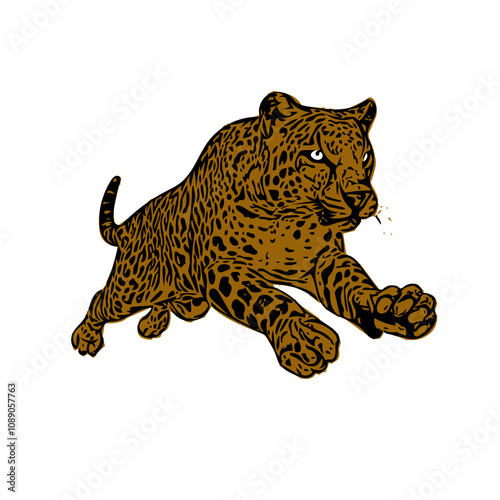 Jaguar panther wild cat vector ilustration 