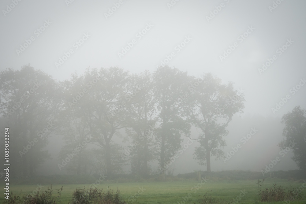 North sea mist on the highway from Amsterdam to Paris 3 North sea mist on the highway from Amsterdam to Paris 3