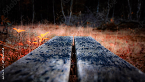 Rustic Wooden Bench in Autumn