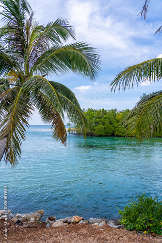 Summer sea with Palm trees,Blue sky white clouds background