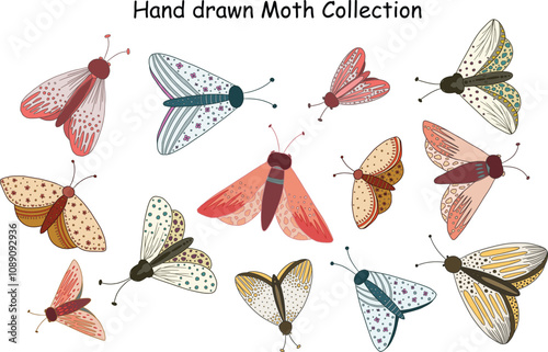 Hand drawn Moths Illustration Collection