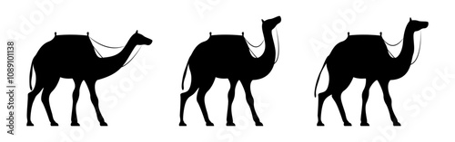 Vector illustration of three camels silhouette on transparent background
