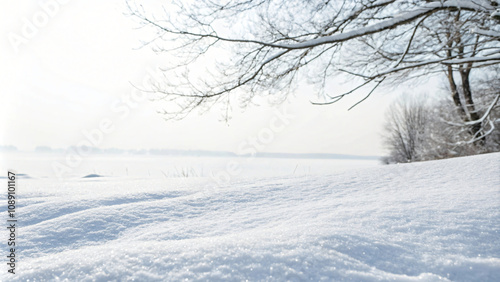 Snowy trees stand tall in a serene winter forest