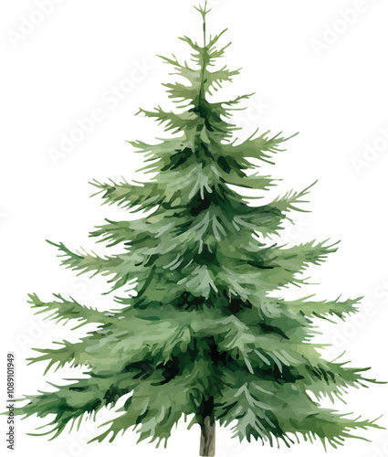 Watercolor vector Christmas tree.  Tall Christmas tree without decoration, triangular shape. Real tree. Template for greeting cards, invitation, decoration, greeting design, stickers