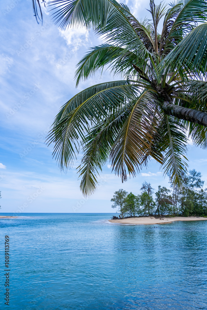 Fototapeta premium Summer sea with Palm trees,Blue sky white clouds background