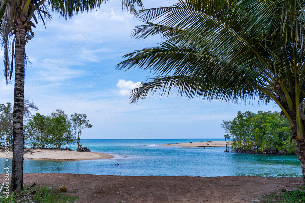 Obraz premium Summer sea with Palm trees,Blue sky white clouds background