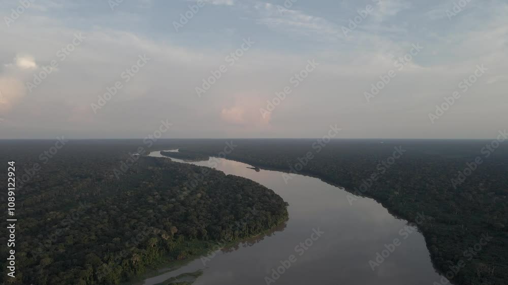 Congo Basin rainforest in the democratic republic of Congo. Congo Basin rainforest in the democratic republic of Congo.