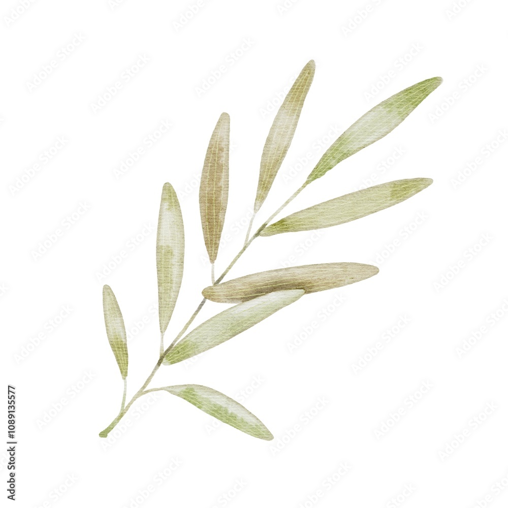 Obraz premium Cute green branch with leaves on white. Watercolor illustration in kids style for textile, decoration children parties, birthday, Easter.