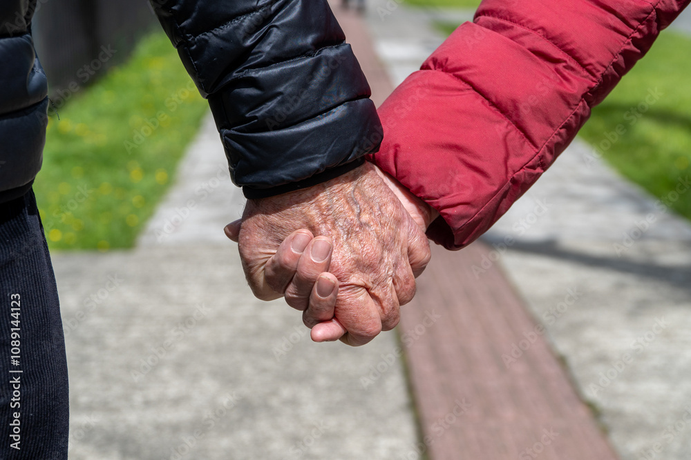 Senior hands. Elderly couple walking in the park