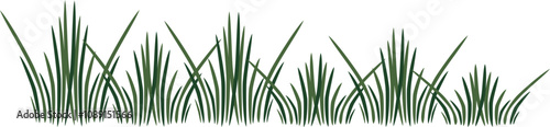 Grass Bush Footer