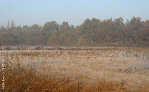 Paesaggio autunnale in campagna  photo