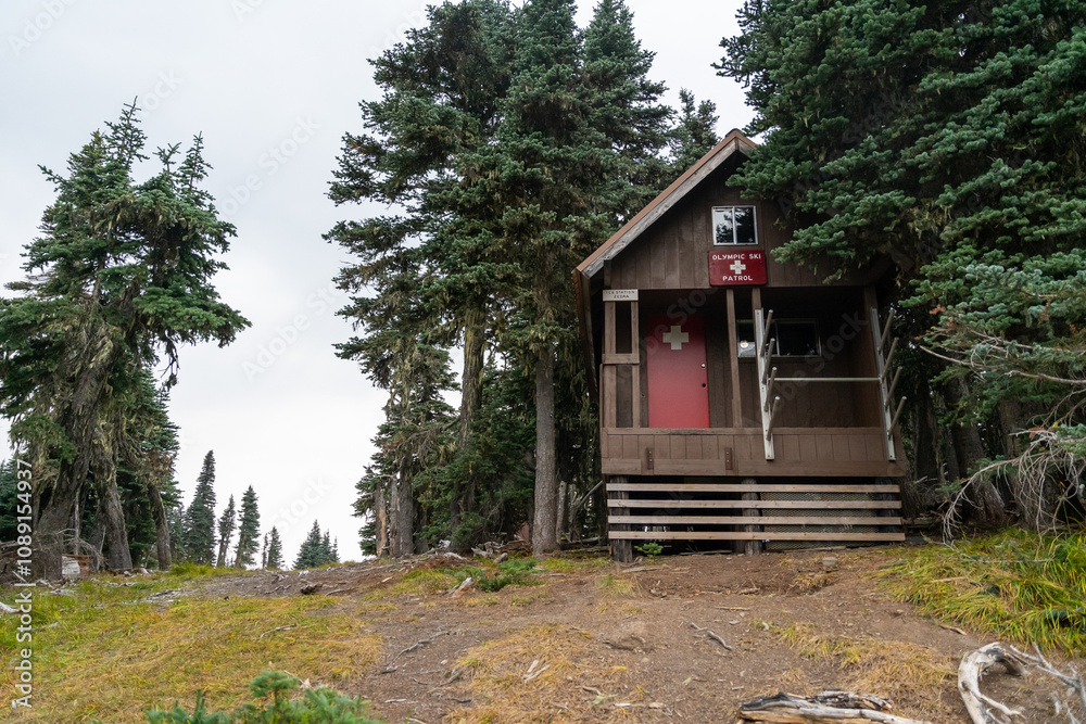 A brown Olympic Ski Patrol building on Hurricane Ridge during the summer.