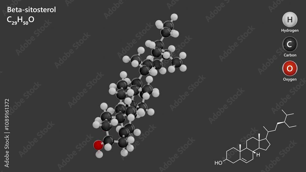 Beta-Sitosterol. Animated 3D model of a molecule. Molecular formula: C29H50O. Chemical model: Ball and sticks. White background. 3D rendering. Seamless loop. Beta-Sitosterol. Animated 3D model of a molecule. Molecular formula: C29H50O. Chemical model: Ball and sticks. White background. 3D rendering. Seamless loop.