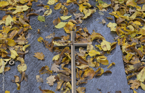 friedhof, herbstlaub photo