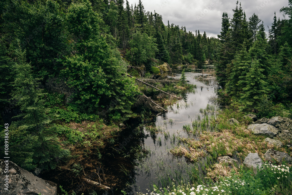 Imagery with small lakes, forest and beautiful blue sky with big puffy clouds in Summertime. Imagery with small lakes, forest and beautiful blue sky with big puffy clouds in Summertime.