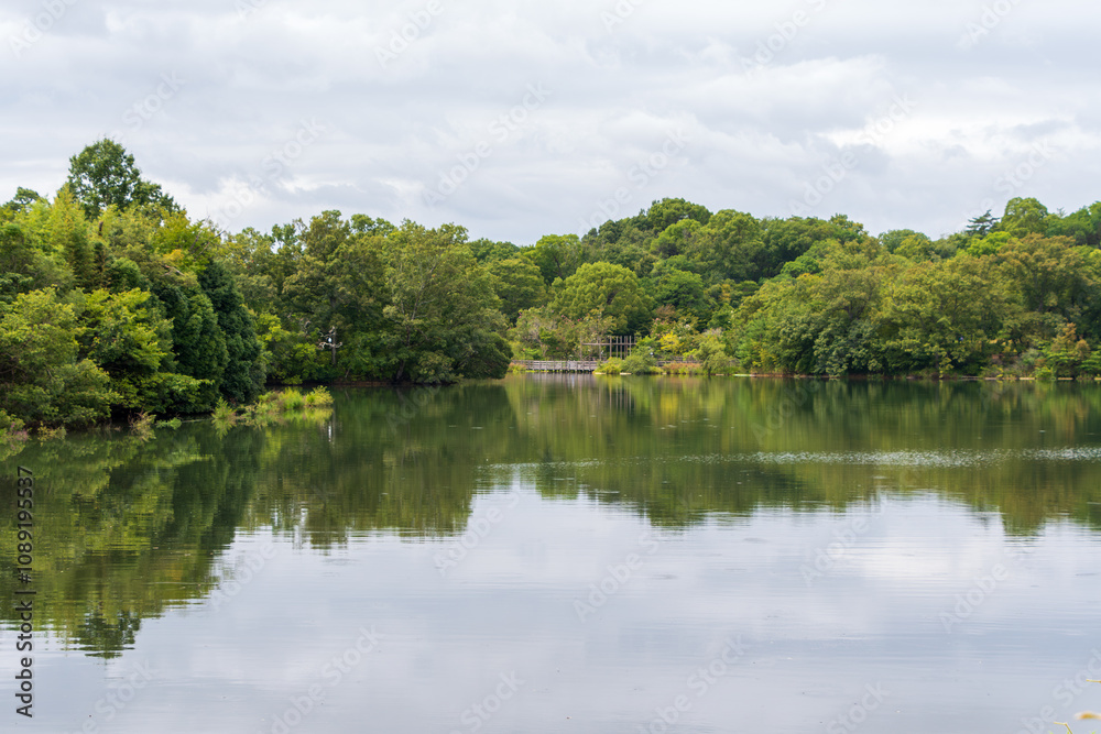 Calm lake surrounded by lush green forest Calm lake surrounded by lush green forest