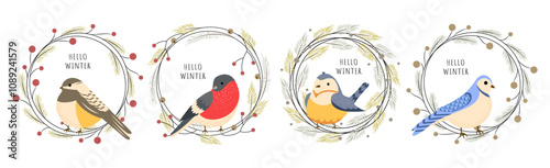 Hello winter. Set of winter birds in Christmas wreaths. Vector illustration