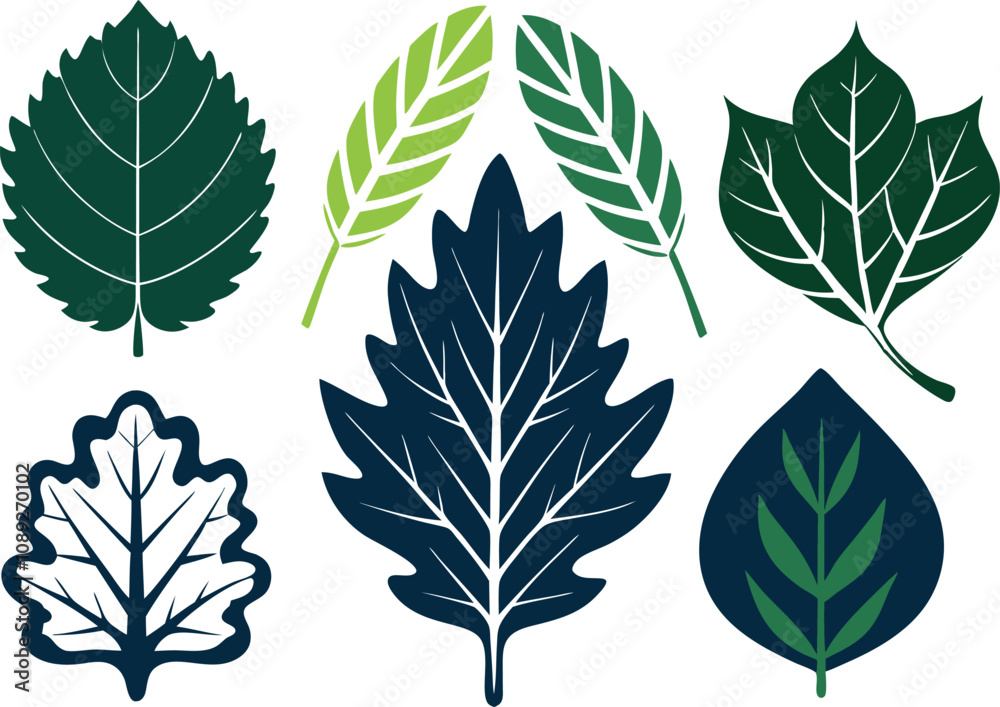 Obraz premium Vector Silhouette Icon Set of Oak and Summer Leaves in Green Tones