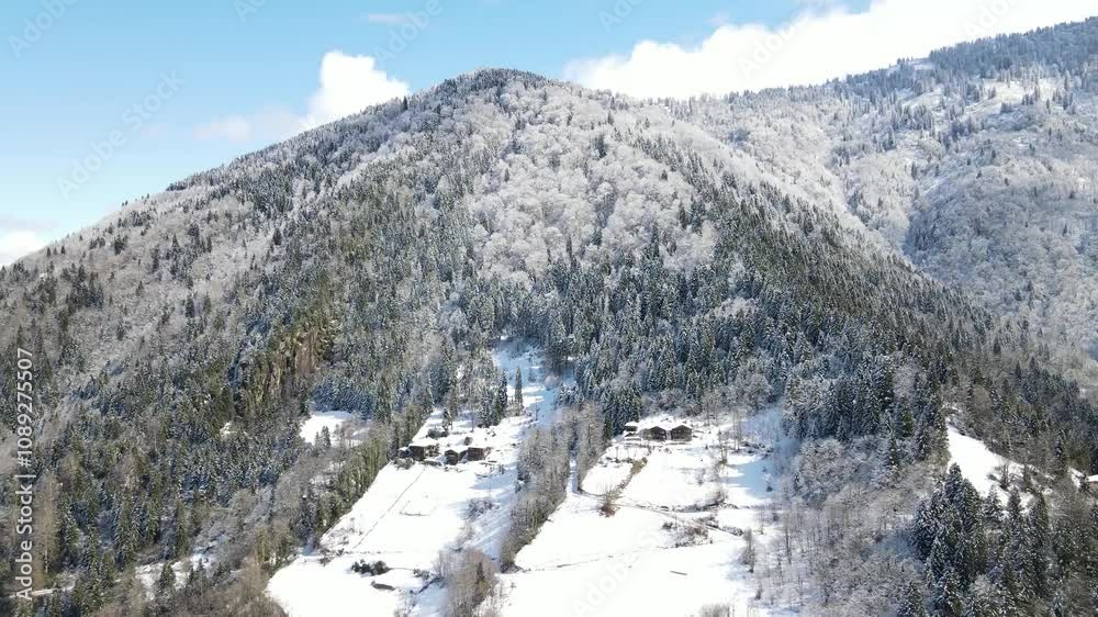 Snow covered mountains, forests and trees. Pine, cedar, hornbeam forests. A nature view from the untouched mountains and forests. Snow covered mountains, forests and trees. Pine, cedar, hornbeam forests. A nature view from the untouched mountains and forests.