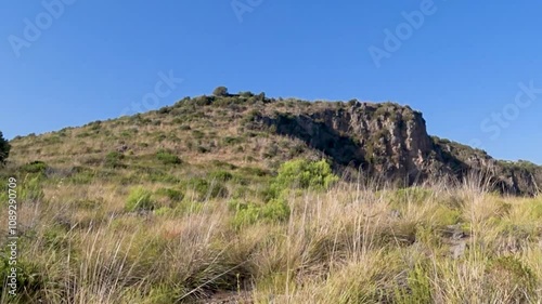 Sun-drying herbaceous vegetation and weeds on the hilltop during summer in south Italy.  photo