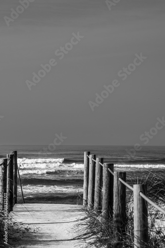 Holzsteg zum meer zwischen den dünen