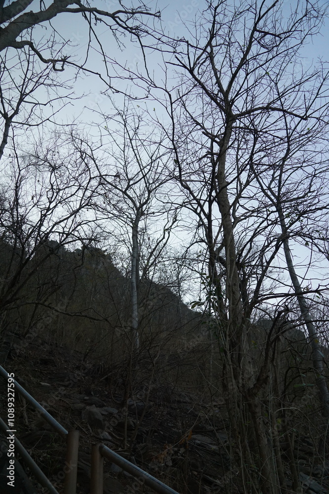 Winter landscape with bare trees mountain view nature photography twilight serene atmosphere minimalism for artistic appreciation Winter landscape with bare trees mountain view nature photography twilight serene atmosphere minimalism for artistic appreciation