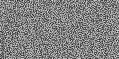 Monochrome Turing reaction background. Abstract pattern background. Linear design with biological shapes. Organic lines in memphis. Overlay template abstract Turing organic wallpaper background. 