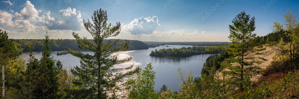 Fototapeta premium Lumberman's Overlook (2024)