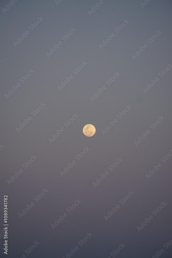 Moonlit night open sky astrophotography serene landscape wide-angle view celestial beauty Moonlit night open sky astrophotography serene landscape wide-angle view celestial beauty