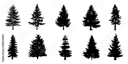 Collection of Black pine trees silhouettes vector Icon. Can be used to illustrate any nature or healthy lifestyle topic.