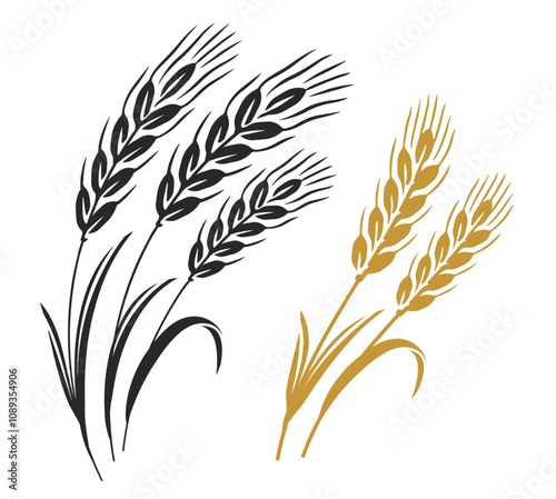 Wheat ears isolated on white background. Grains of cereals. Harvest and agriculture symbol. Ingredient element