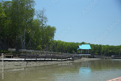 Exploring a serene mangrove ecosystem coastal area nature photography tranquil environment scenic view biodiversity awareness