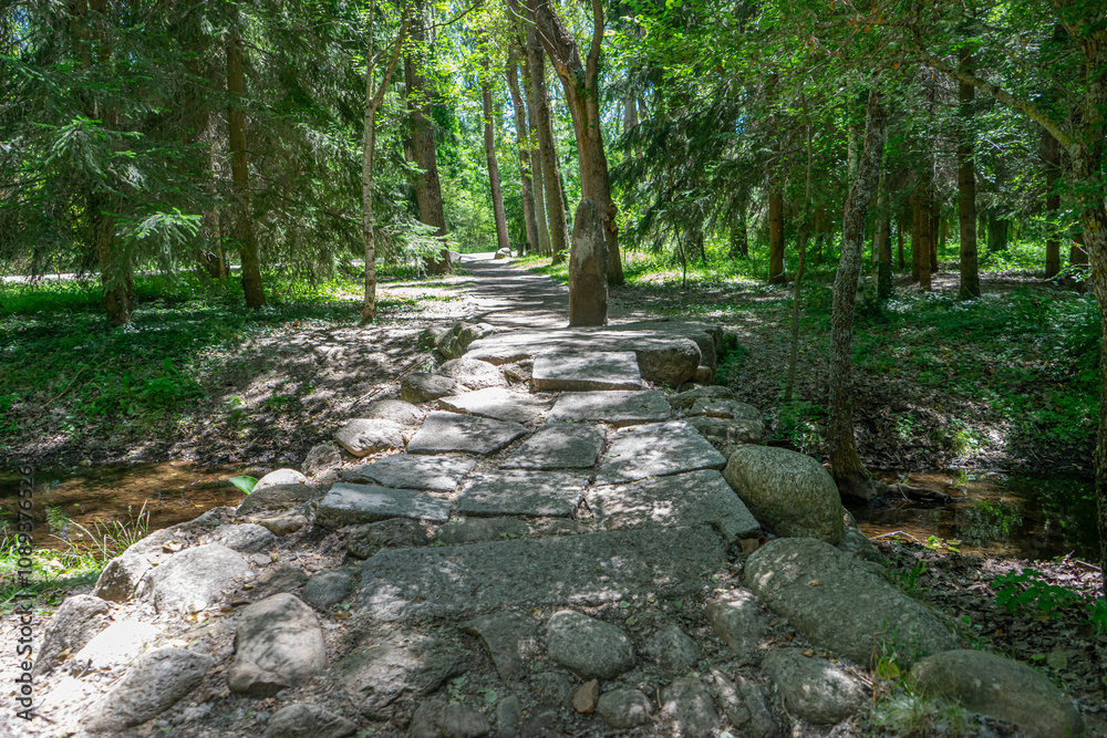 Tree-Lined Pathway in the Finnish Forest of Rascafría, Madrid Tree-Lined Pathway in the Finnish Forest of Rascafría, Madrid