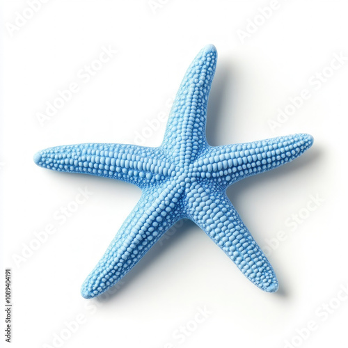 Blue Starfish Isolated