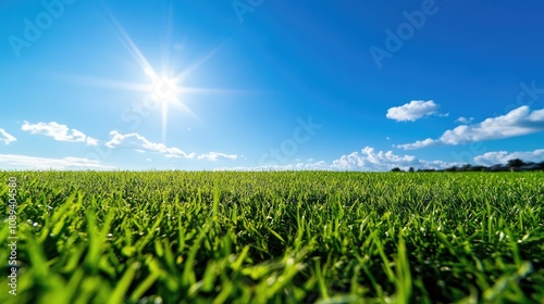A vibrant baseball field with lush green grass under a bright blue sky and radiant sunlight, capturing the essence of outdoor sports and leisure.