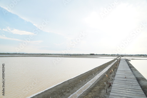 Wallpaper Mural Salt harvesting process coastal salt flats photography natural landscape aerial view sustainable practices Torontodigital.ca