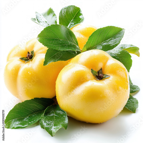 Quince Isolated