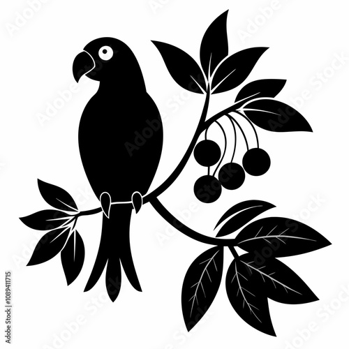 Parrots Silhouette Collection  
