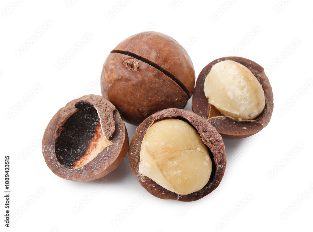Macadamia nuts with shells isolated on white Macadamia nuts with shells isolated on white