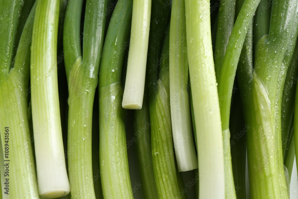 Many fresh green onions as background, closeup Many fresh green onions as background, closeup