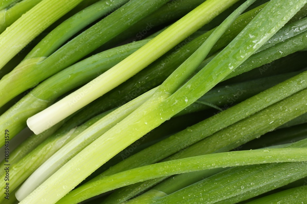 Many fresh green onions as background, closeup Many fresh green onions as background, closeup