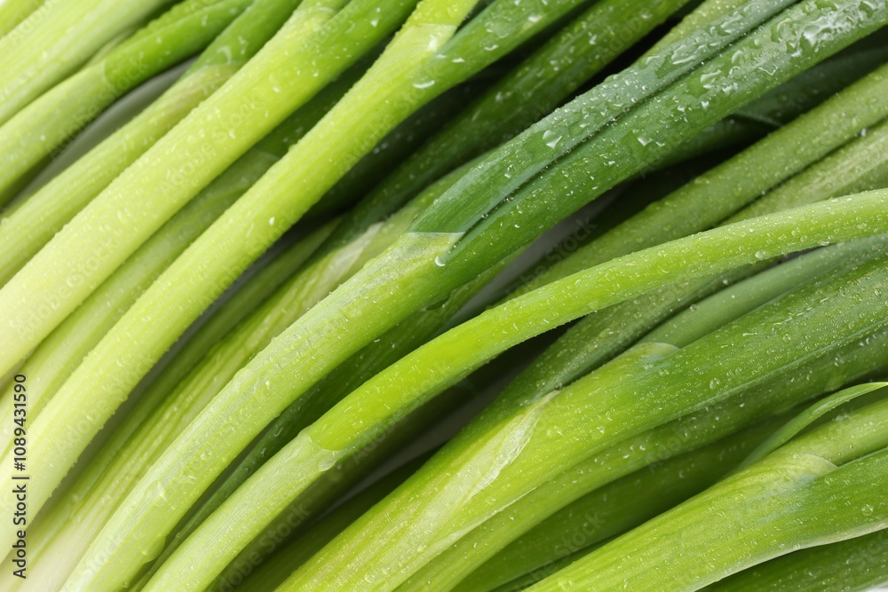 Many fresh green onions as background, closeup Many fresh green onions as background, closeup
