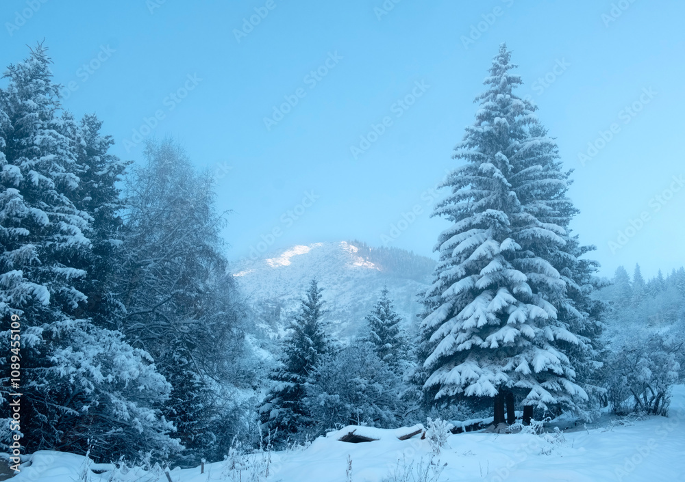 Naklejka premium Beautiful winter landscape in the mountains after a snowfall, when fresh fluffy snow lies on the trees in a spruce forest