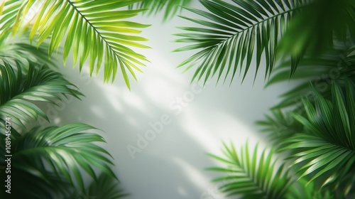 Lush green palm leaves frame a light gray background.