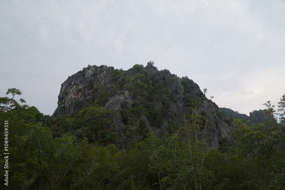 Exploration of rocky terrain in a lush forest outdoor adventure nature photography scenic view environmental awareness Exploration of rocky terrain in a lush forest outdoor adventure nature photography scenic view environmental awareness