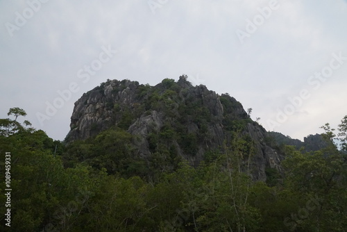 Exploration of rocky terrain in a lush forest outdoor adventure nature photography scenic view environmental awareness